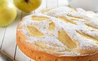 Шарлотка в мультиварке с яблоками — 5 рецептов с фото пошагово