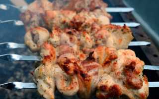 Маринады для шашлыка из курицы — 10 простых и вкусных рецептов