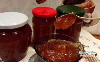 Джем из яблок в домашних условиях: ингредиенты, рецепт