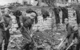 С чем носить красные брюки и джинсы: 22 стильных образа