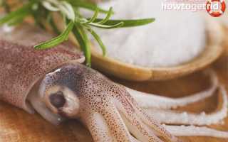 Чем полезны кальмары для здоровья — 7 научных фактов