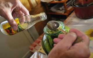 Мой коронный рецепт борща с фасолью (Главный секрет: за день замариновать свеклу в чесноке). Вкус просто царственный