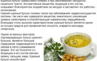 Костный бульон из курицы, рыбы, индейки, баранины, говядины. Рецепт, технология приготовления