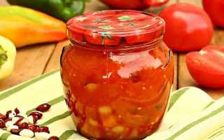 Очень вкусные пошаговые рецепты лечо с фасолью на зиму
