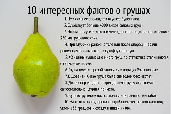 Груши на зиму. Заготовки, рецепты лучшие: компот, заморозка, варенье, без сахара, стерилизации