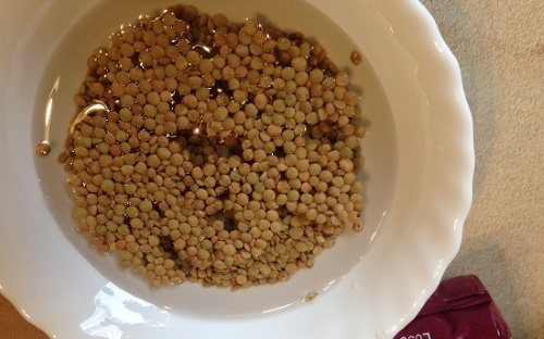 Свинина с овощами в духовке. Рецепты простые, вкусные в рукаве, горшочке, фольге